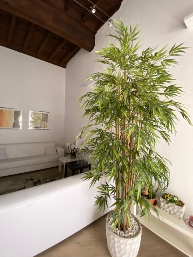 Suite Saffi 99 Viterbo Exterior photo